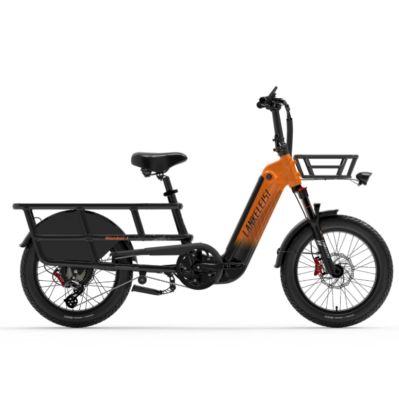 LANKELEISI Wombat-1 1000W Langstrecken-Lasten-Elektrofahrrad