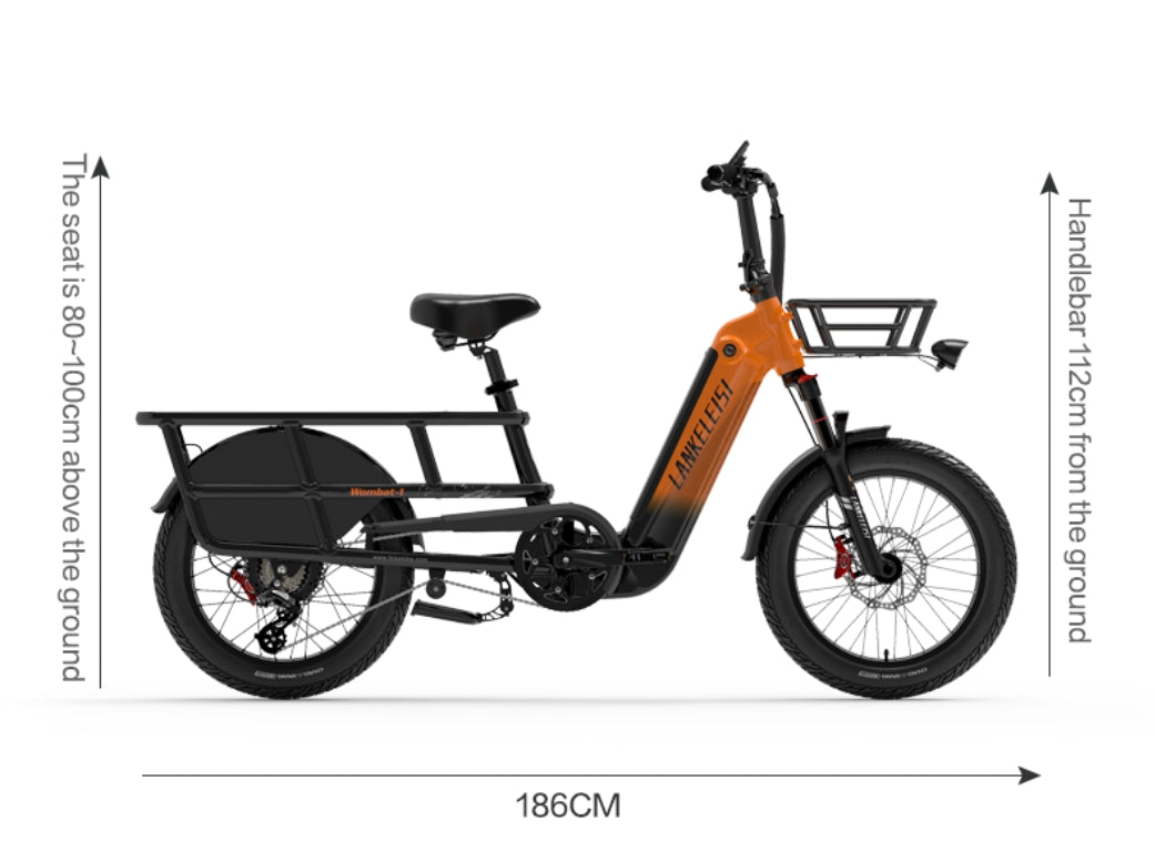 LANKELEISI Wombat-1 1000W Langstrecken-Lasten-Elektrofahrrad