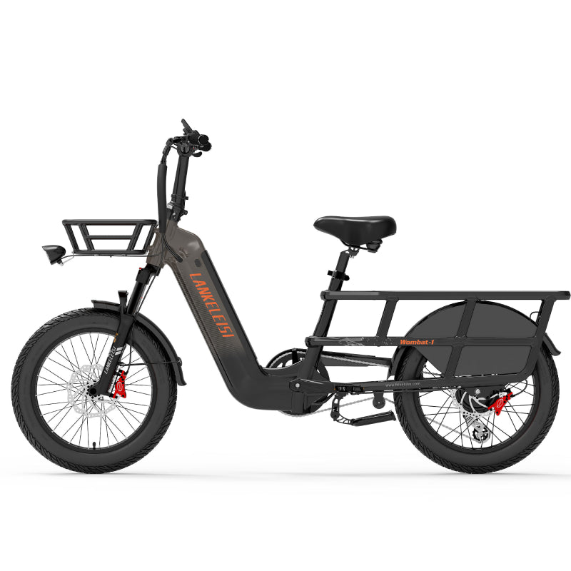LANKELEISI Wombat-1 1000W Langstrecken-Lasten-Elektrofahrrad