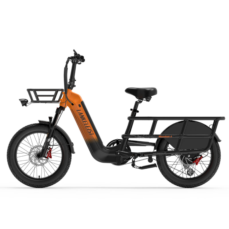 LANKELEISI Wombat-1 1000W Langstrecken-Lasten-Elektrofahrrad