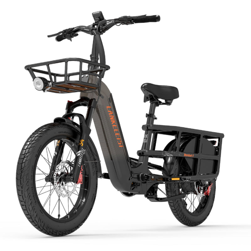 LANKELEISI Wombat-1 1000W Langstrecken-Lasten-Elektrofahrrad