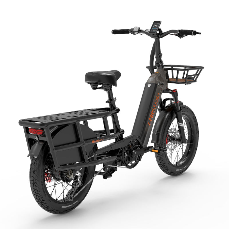 LANKELEISI Wombat-1 1000W Langstrecken-Lasten-Elektrofahrrad