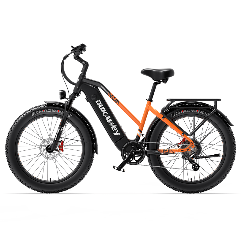 Dukawey DM530 Plus 1000W All Terrain Electric Bike