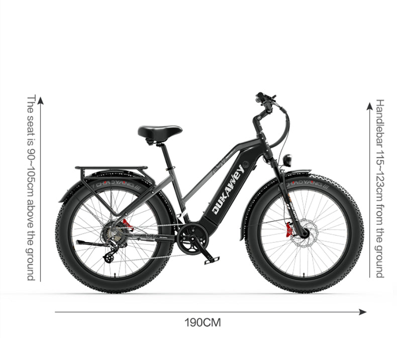 Dukawey DM530 Plus 1000W All Terrain Electric Bike
