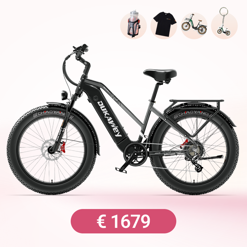 Vélo électrique tout-terrain Dukawey DM530 Plus 1000 W