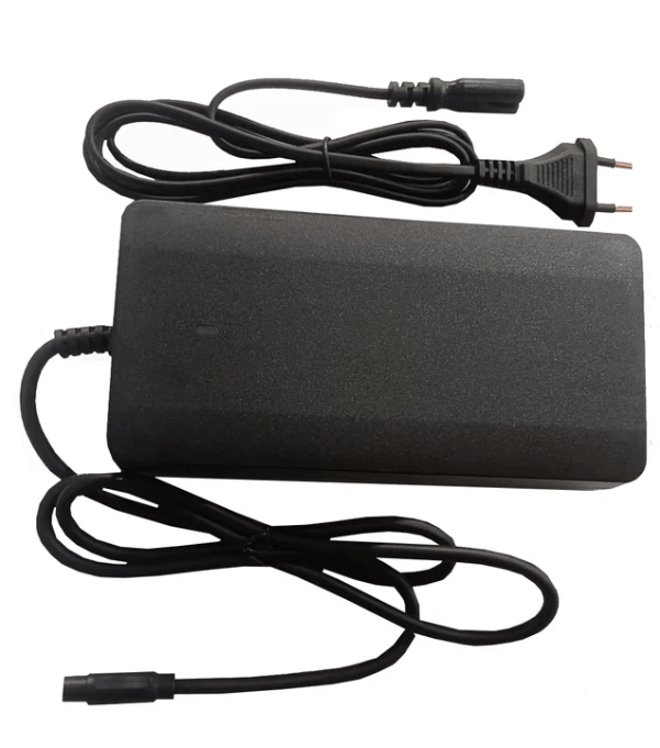 LANKELEISI electric bike charger for 48V and 36V models, black and compact design, shown with charging port and cable.