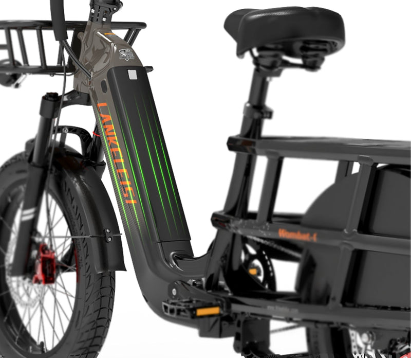 48V 20Ah SAMSUNG  Lithium Battery