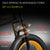 Lankeleisi X3000Plus-Up Fat Tire Snow E-Bike